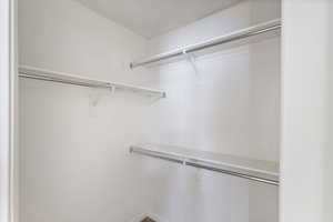 View of walk in closet