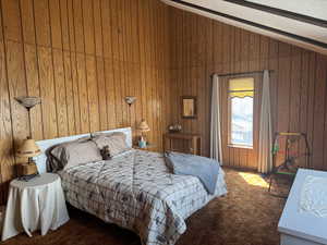 Huge primary bedroom with lofted ceiling, two large windows and big closet