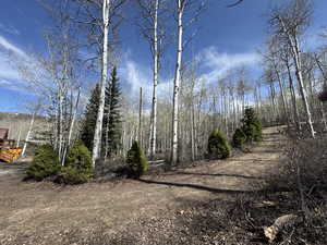 View of west side circular driveway and  undeveloped land