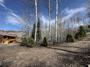 View from west side of circular driveway showing mature aspens and pinetrees in expansive front yard and front wooden deck
