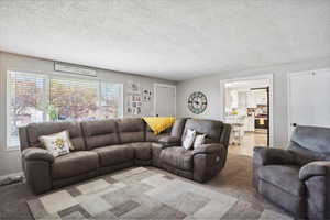 Living area with a textured ceiling and light colored carpet