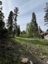 View of wooded area