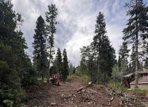 View of wooded area