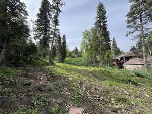 View of yard with a deck