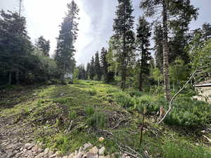 View of wooded area