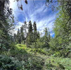 View of nature