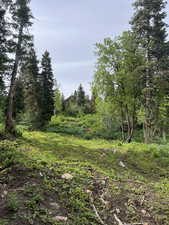 View of undeveloped land