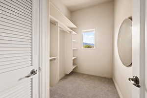 Spacious closet with carpet flooring