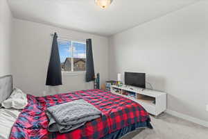 Bedroom with baseboards and carpet flooring