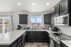 Kitchen featuring a sink, a peninsula, a wealth of natural light, and stainless steel appliances