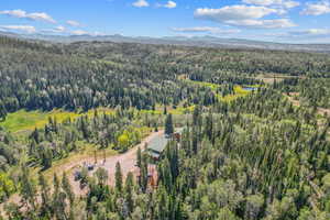 Aerial view of a forest and mountains