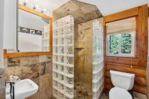 Bathroom featuring walk in shower, a sink, and toilet