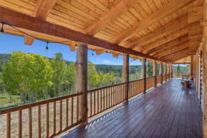 Deck with a forest view