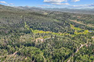Drone / aerial view of a forest and a mountainous background