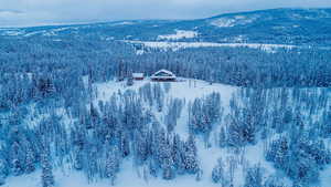 Snowy aerial view with a view of trees and a mountain view