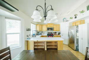 Kitchen featuring stainless steel appliances, light brown cabinetry, a peninsula, and plenty of natural light