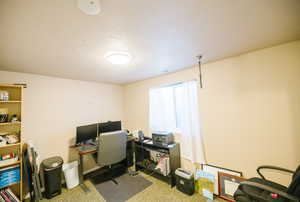 Office featuring carpet floors