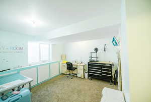 Recreation room with carpet floors and a desk