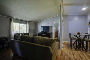 Living area with crown molding, vaulted ceiling, light wood-type flooring, and a textured ceiling