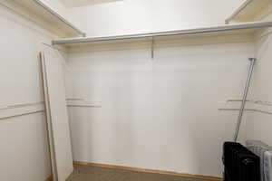 Walk in closet with radiator heating unit and carpet