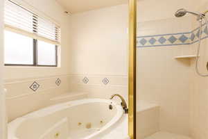 Full bathroom with a stall shower and a jetted tub