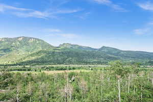 View of mountain backdrop featuring a heavily wooded area