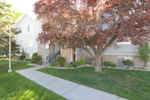 View of front facade with brick siding and a front lawn