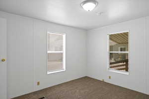 Carpeted empty room featuring healthy amount of natural light, a smoke detector, and a textured ceiling