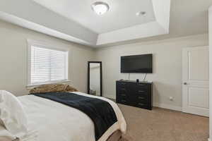 Bedroom with carpet floors, a raised ceiling, and baseboards
