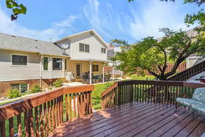 Wooden deck featuring a patio and a yard