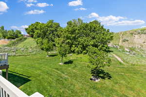 View of grassy yard