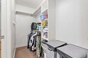 Spacious closet with carpet floors