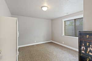 Empty room featuring a textured ceiling, carpet flooring, and baseboards