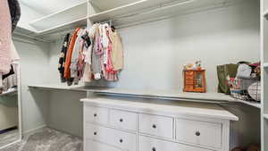 Spacious closet featuring light carpet