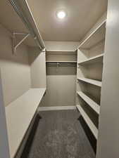 Walk in closet with carpet flooring
