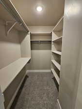 Spacious closet with carpet