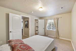 Basement bedroom with walk-in closet