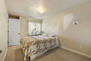 Basement bedroom