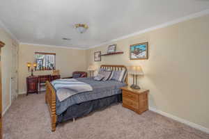 Carpeted bedroom featuring crown molding and baseboards