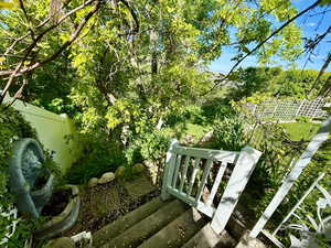 View of fenced backyard