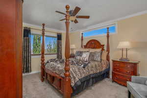 Bedroom featuring carpet, baseboards, ornamental molding, and ceiling fan