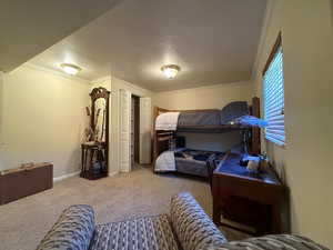 Bedroom with carpet flooring, ornamental molding, baseboards, and a textured ceiling