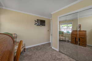 Sitting room featuring carpet, crown molding, and baseboards