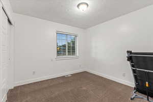 Unfurnished bedroom featuring a textured ceiling, carpet flooring, baseboards, and a closet