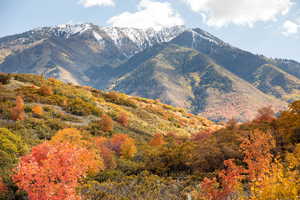 Mountain view featuring a forest