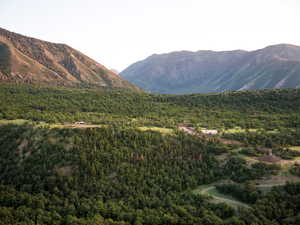 View of mountain background with a forest
