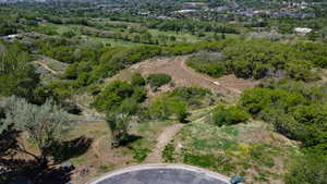 Aerial view of property's location