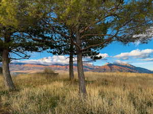 View of mountain background