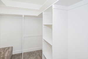 Walk in closet featuring light colored carpet