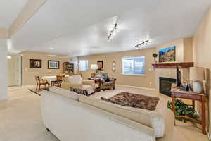 Carpeted living room with a fireplace, baseboards, healthy amount of natural light, and rail lighting
